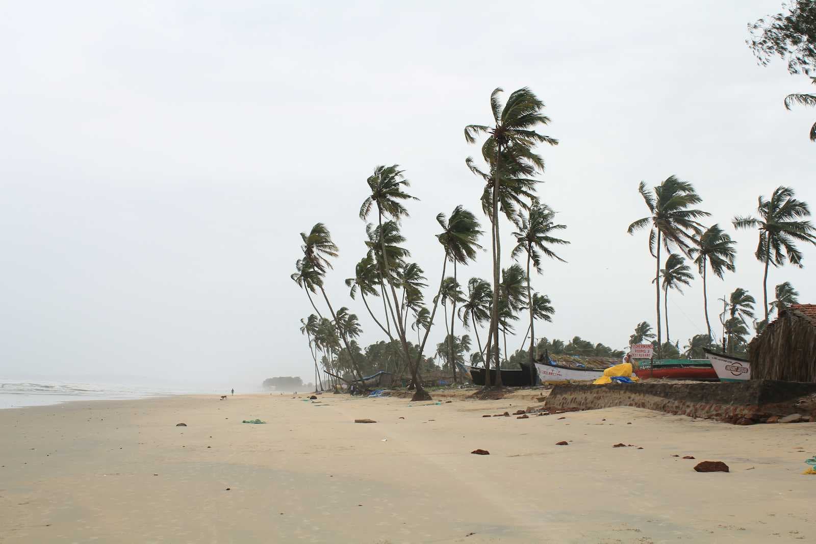 3-Day Goa Itinerary for First-Timers: Beaches, Backwaters & Secret Cafés